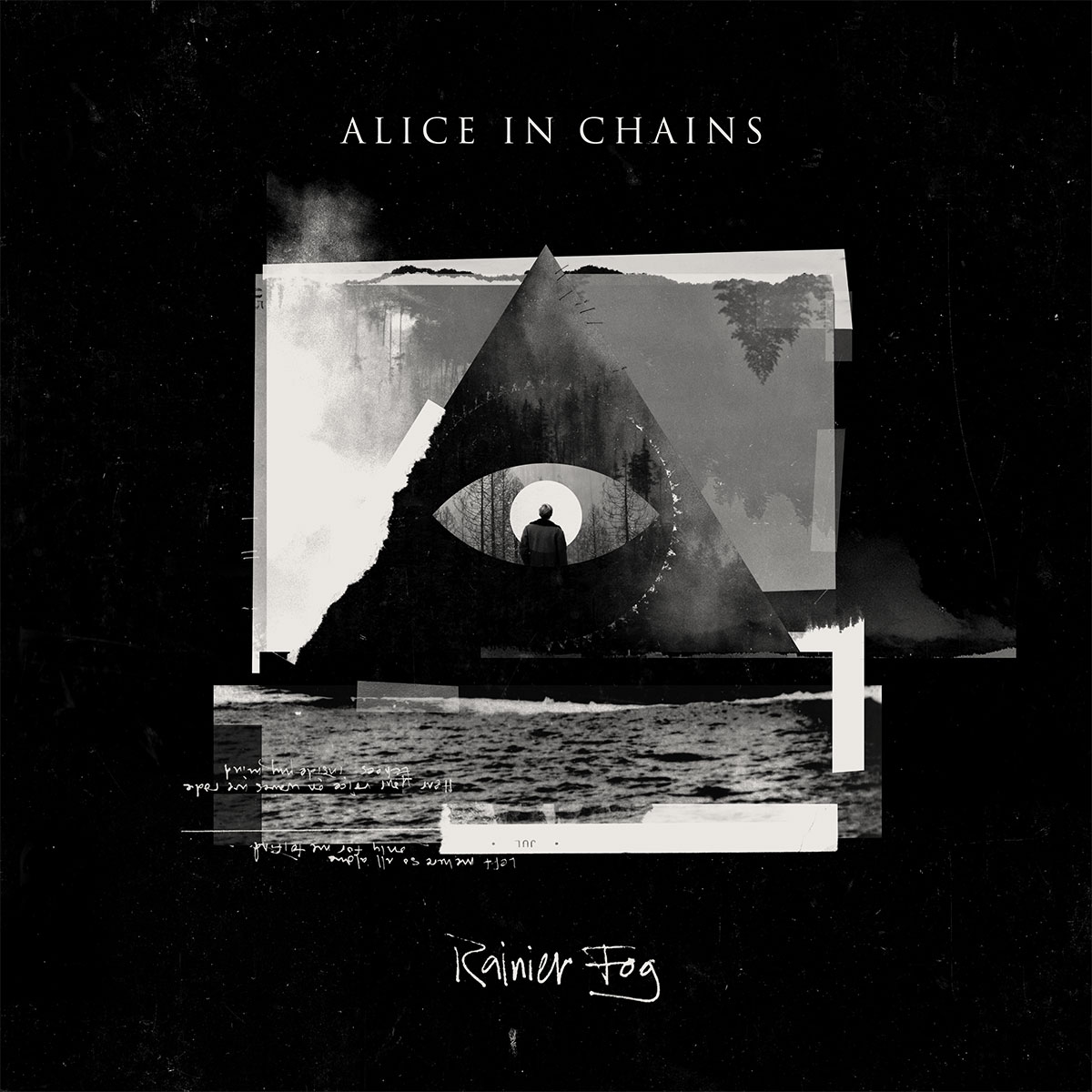 Rainer Fog - Alice In Chains