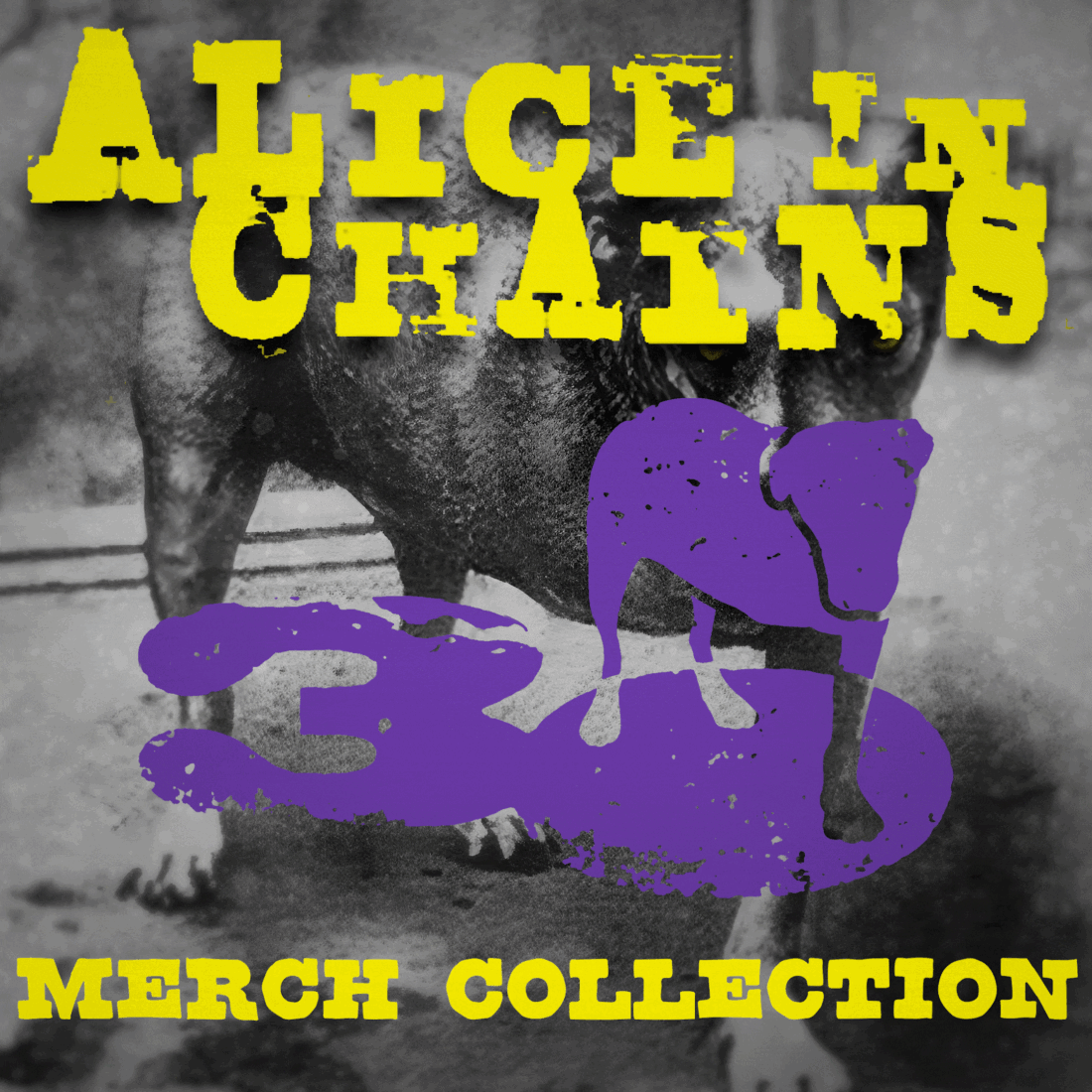 Aic Merch Gif 3 (1) (1)